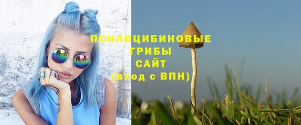 соль ск Гусев
