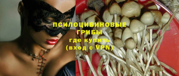 трава Гусь-Хрустальный