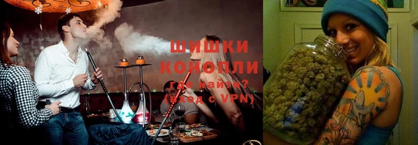соль ск Гусев