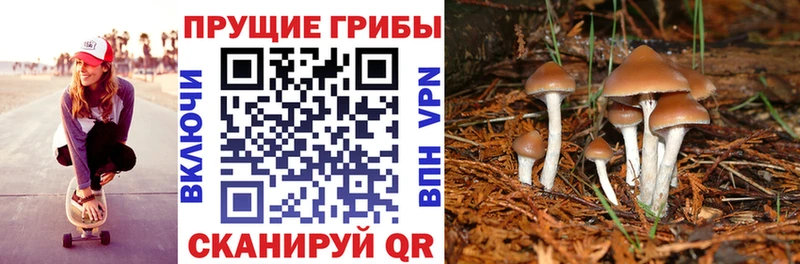 kraken   это как зайти  Дудинка  Галлюциногенные грибы Magic Shrooms  как найти закладки 